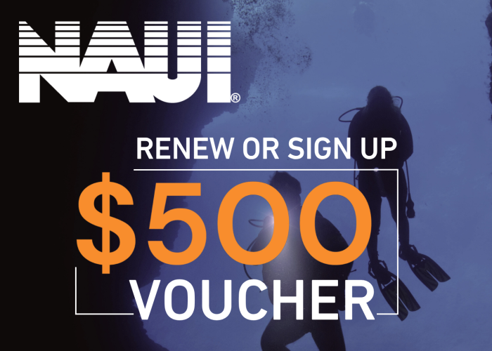 PROMO VA $500 VOUCHER